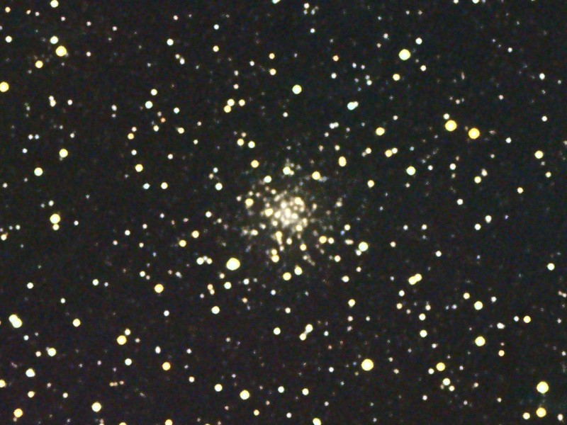 M56